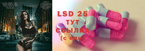 хмурый Горняк
