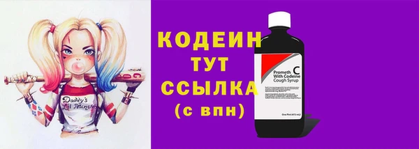 хмурый Горняк