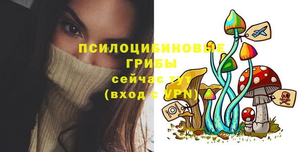 шишки Гусь-Хрустальный
