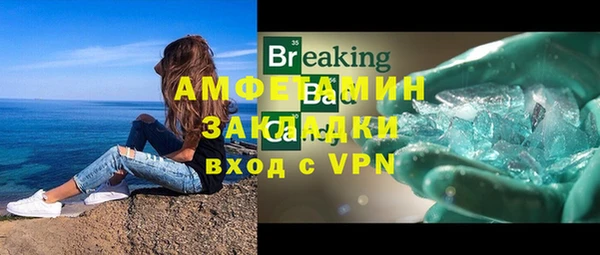 твердый Гусев